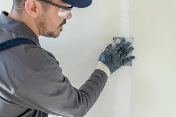 Best Residential Mold Inspection & Testing  in Cedar Springs, MI